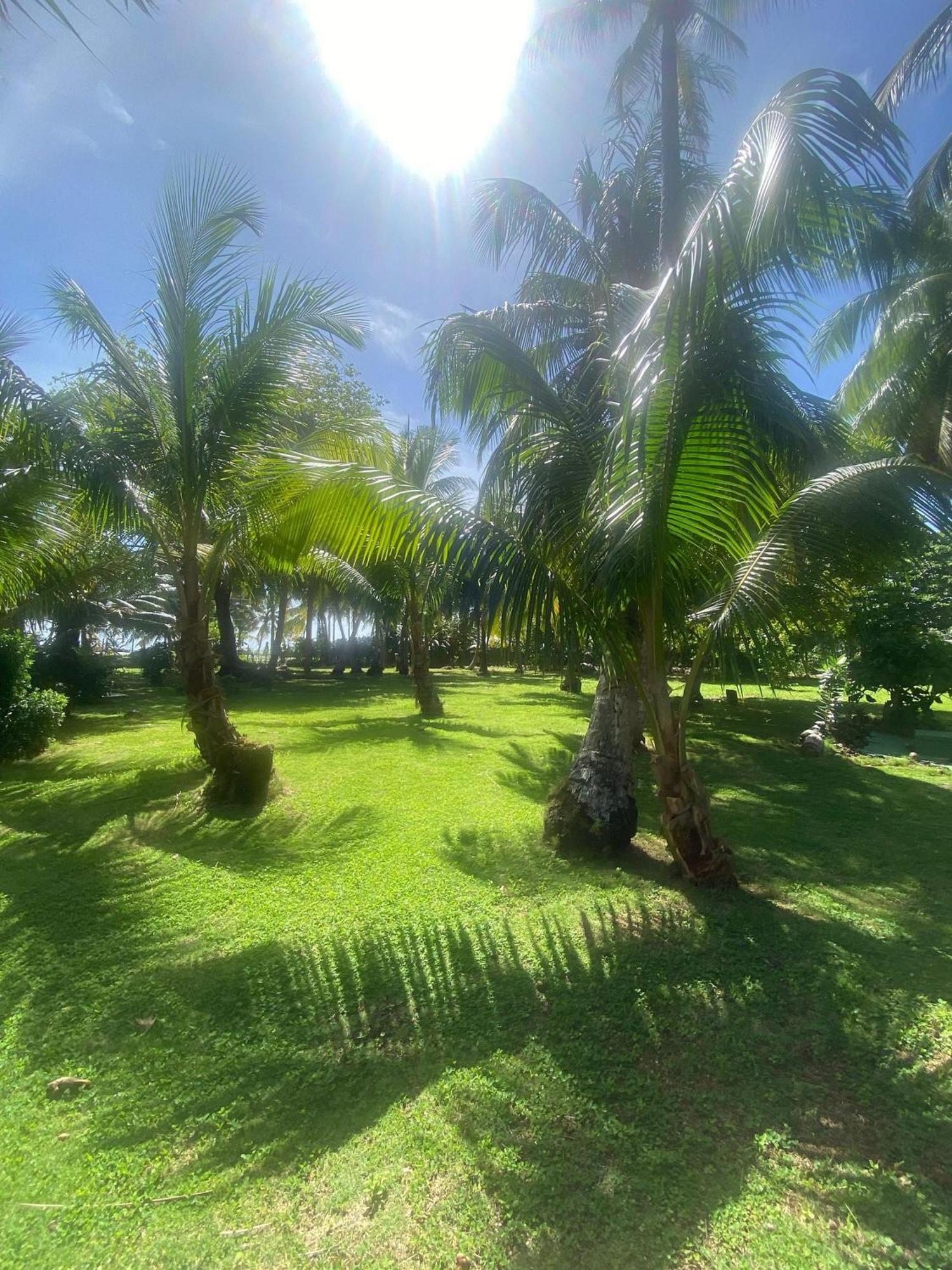 South End Villas - Apartamentos Paradisiaco En El Caribe Colombiano San Andrés Exteriör bild
